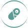 icon-s-2